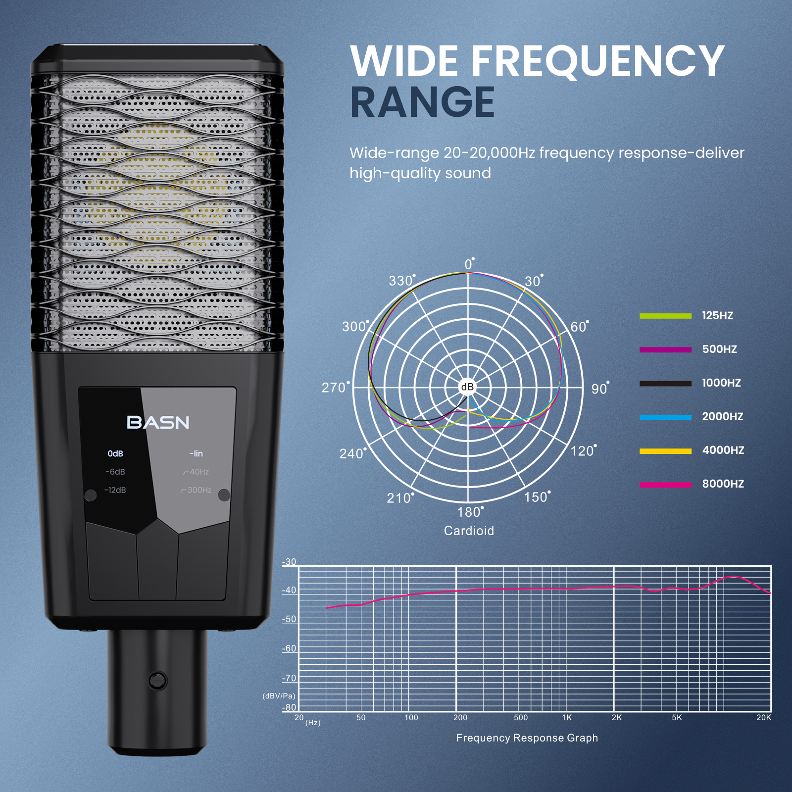 BASN BMS2 Large Diaphragm Cardioid Pickup Studio Condenser XLR Microphone (Black)