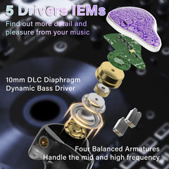 BASN Bmaster5 Five Drivers (1DD+4BA) PE Connector In Ear Monitor Headphone (Purple)